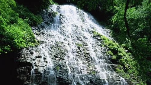 稳定性独特节能